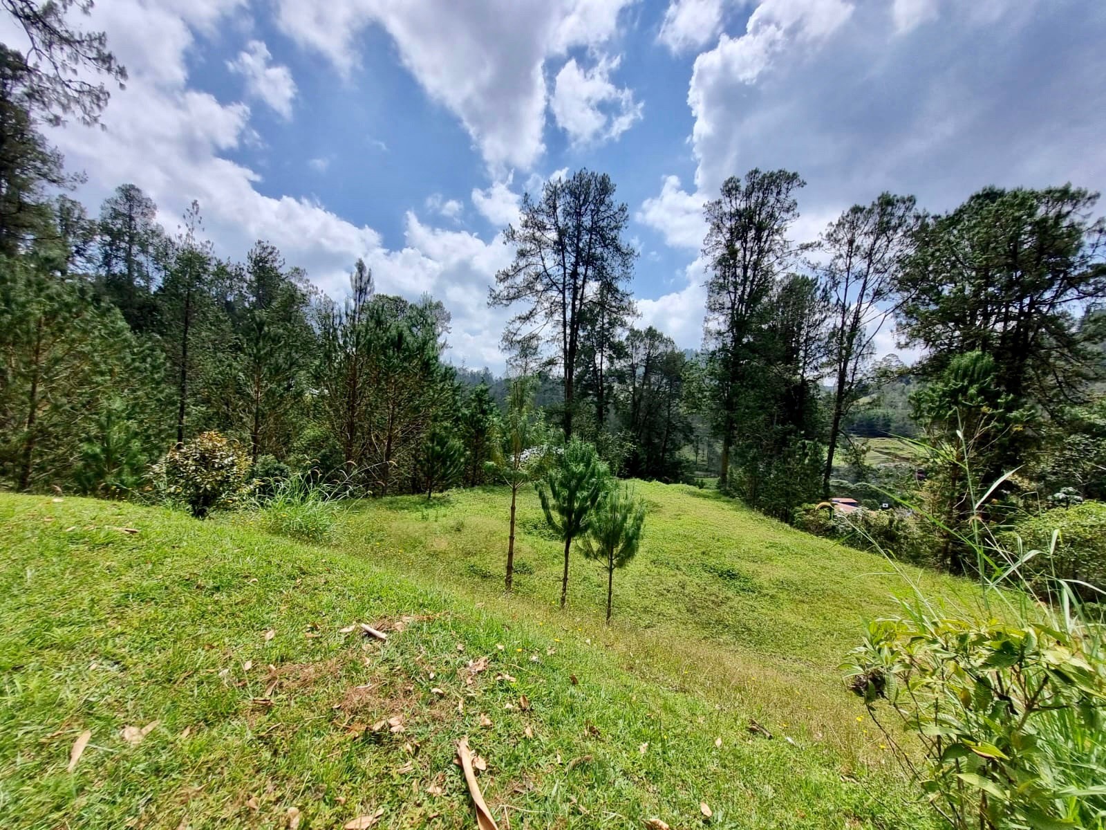 Land in Don diego (1605 m²) for Sale