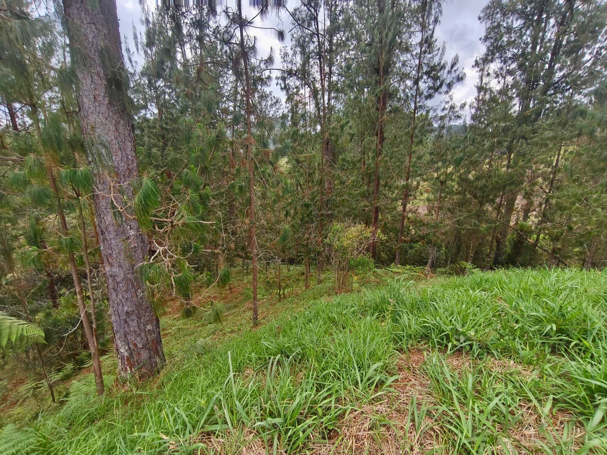 Land in Don diego (1605 m²) for Sale - 3