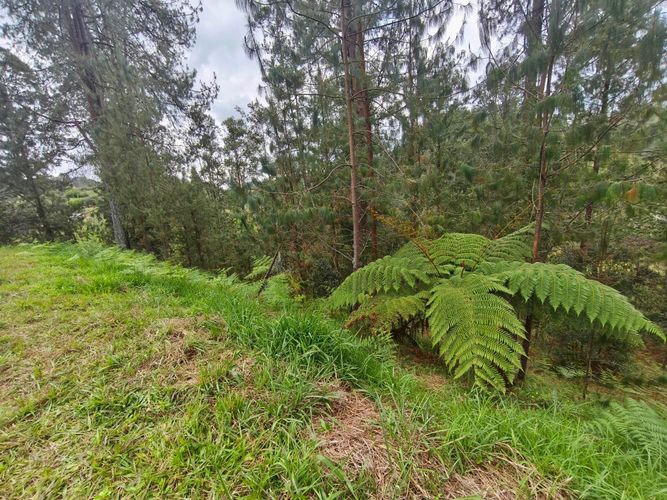 Lote en venta en Don Diego, El Retiro, 1605 m² · foto 8 de 14