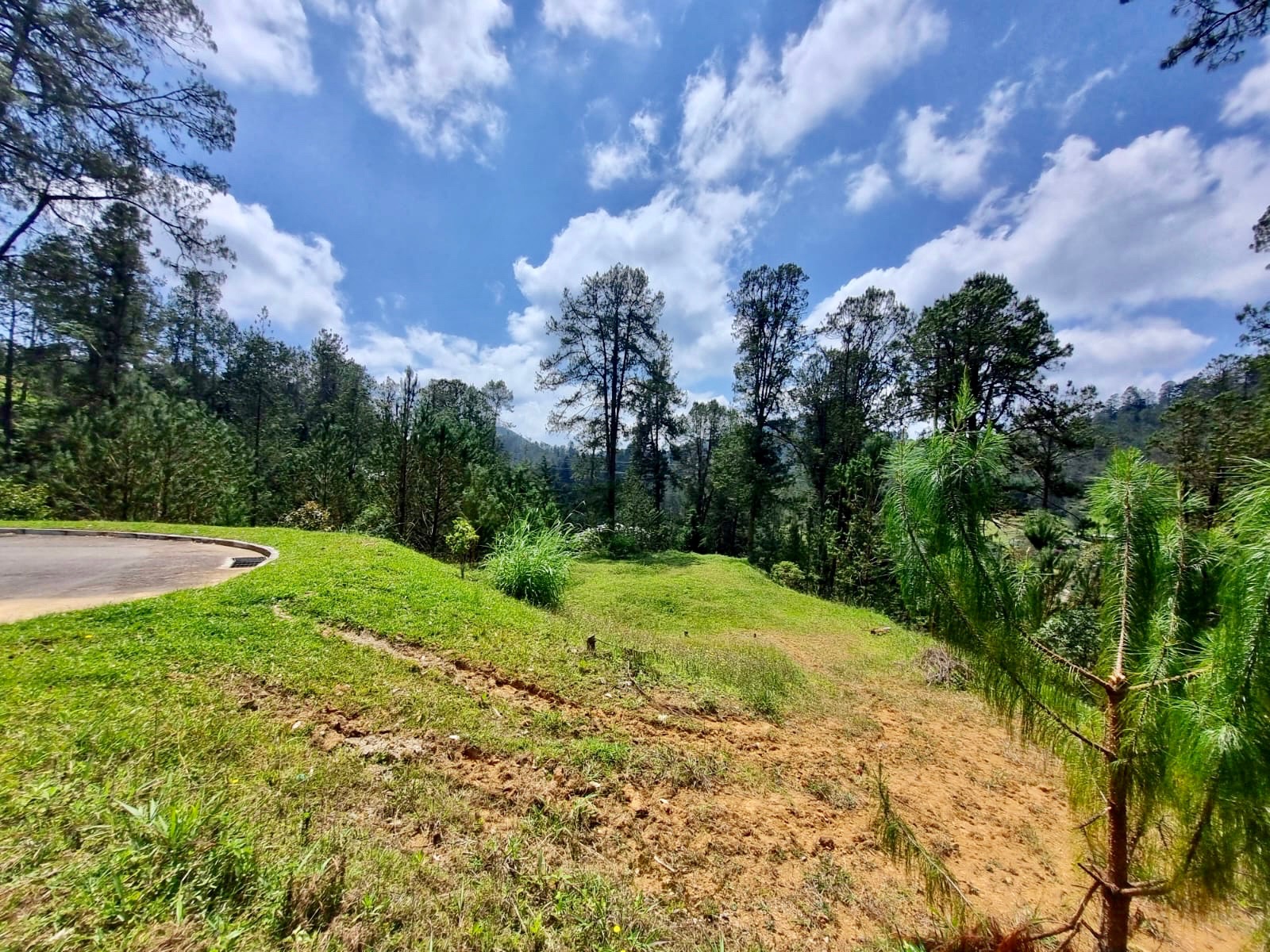 Land in Don diego (1605 m²) for Sale - 2