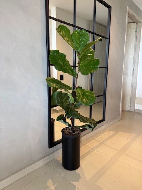 Apartamento de 3 alcobas en venta en Pance Alto, Cali, 133 m² · foto 9 de 24