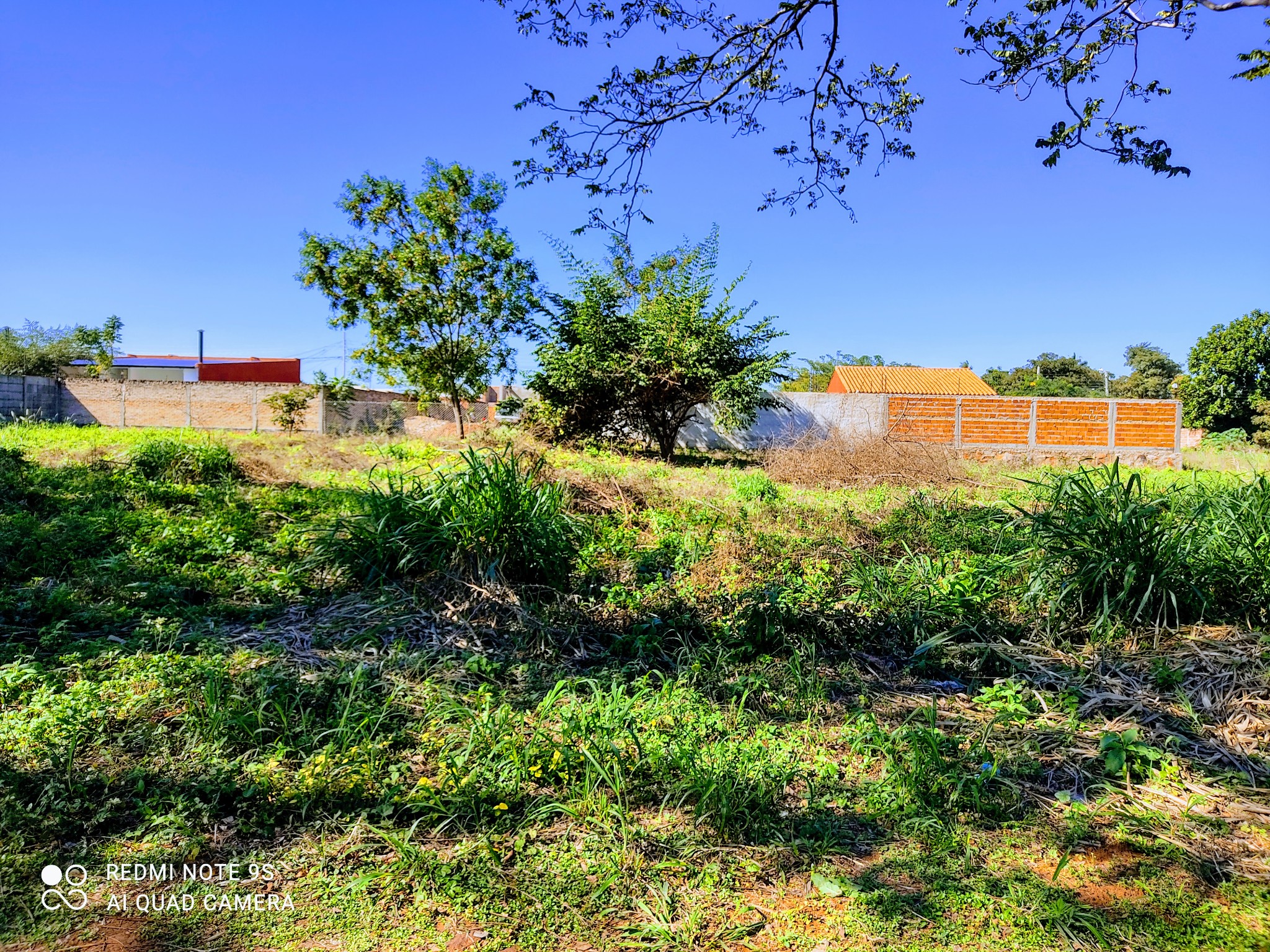 TERRENO DE 1488 M2 EN LUQUE BARRIO JULIO CORREA — foto 2