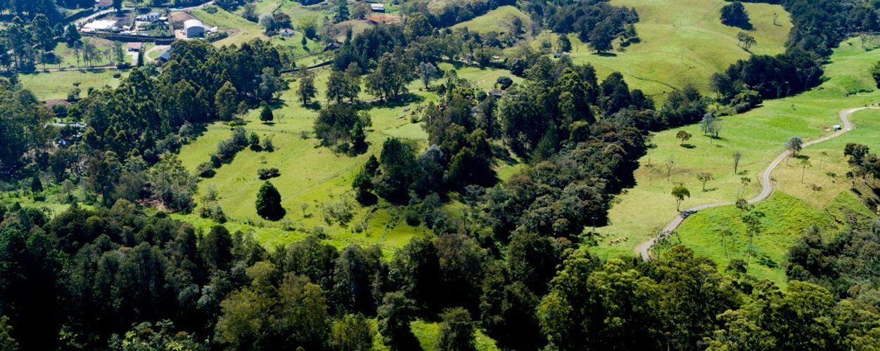 Lote en venta en La Ceja, 1350 m² · foto 7 de 17