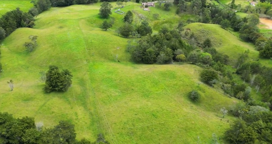 Lote en venta en La Ceja, 1350 m² · foto 5 de 17