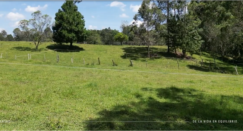 Lote en venta en La Ceja, 1350 m² · foto 2 de 17