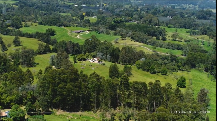 Lote en venta en La Ceja, 1350 m² · foto 8 de 17
