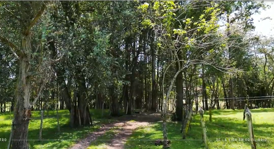 Lote en venta en La Ceja, 1350 m² · foto 10 de 17