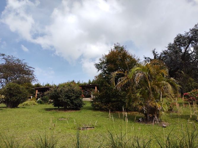 Finca en venta en Lomitas, La Ceja, 213 m² · foto 5 de 21
