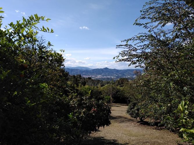 Finca en venta en Lomitas, La Ceja, 213 m² · foto 7 de 21