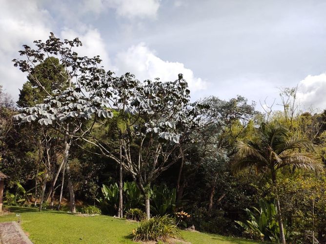 Finca en venta en Lomitas, La Ceja, 213 m² · foto 8 de 21