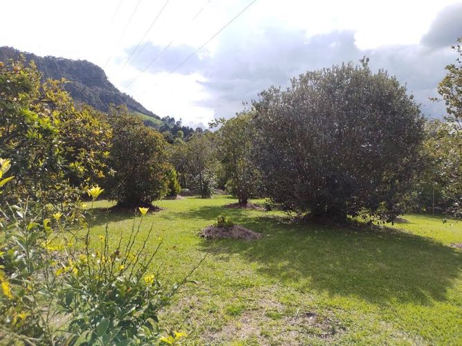 Finca en venta en Lomitas, La Ceja, 213 m² · foto 9 de 21