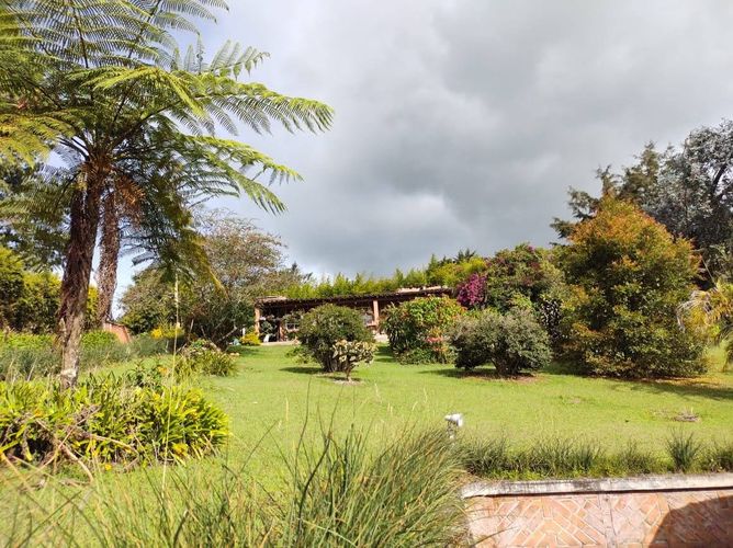 Finca en venta en Lomitas, La Ceja, 213 m² · foto 10 de 21
