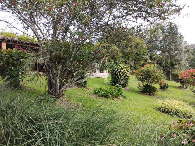 Finca en venta en Lomitas, La Ceja, 213 m² · foto 12 de 21