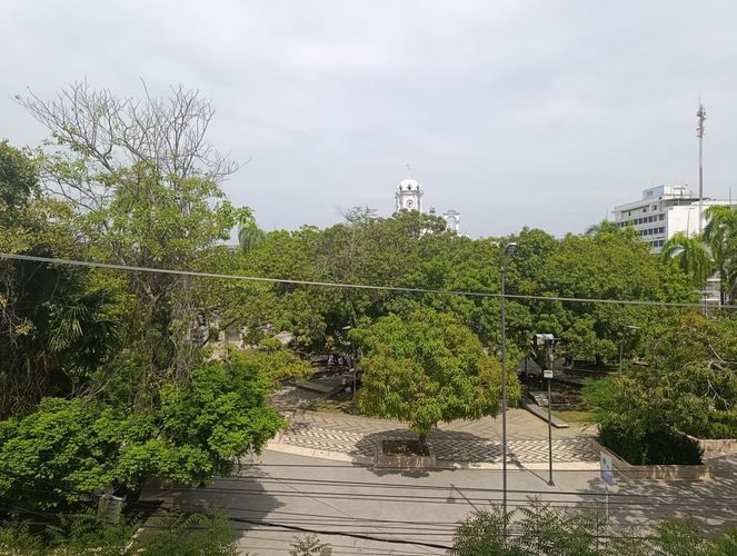 Oficina en arriendo en Centro, Montería, 22 m² · foto 2 de 12