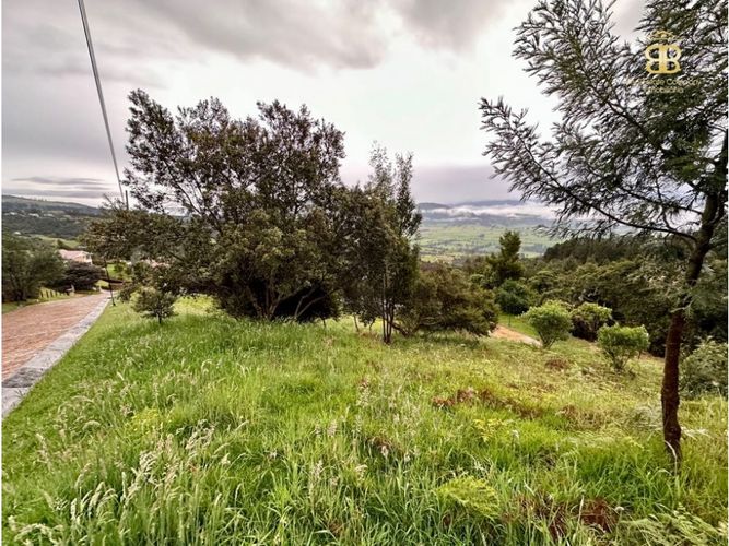 Lote en venta en La Violeta, Sopó, 1991 m² · foto 3 de 8