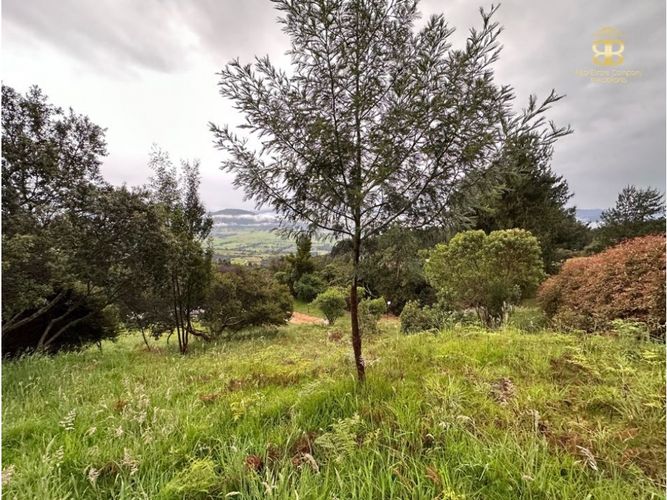 Lote en venta en La Violeta, Sopó, 1991 m² · foto 5 de 8