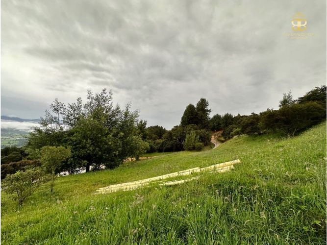 Lote en venta en La Violeta, Sopó, 1991 m² · foto 7 de 8