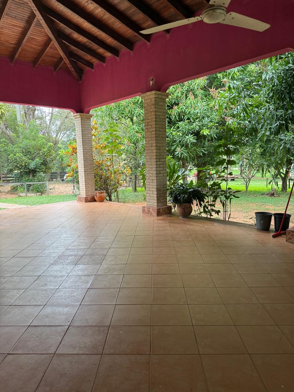 SE VENDE EN NUEVA ITALIA: EXCEPCIONAL GRANJA DE 10 HECTÁREAS, TOTALMENTE EQUIPADA Y CON UBICACIÓN PRIVILEGIADA. - foto 3