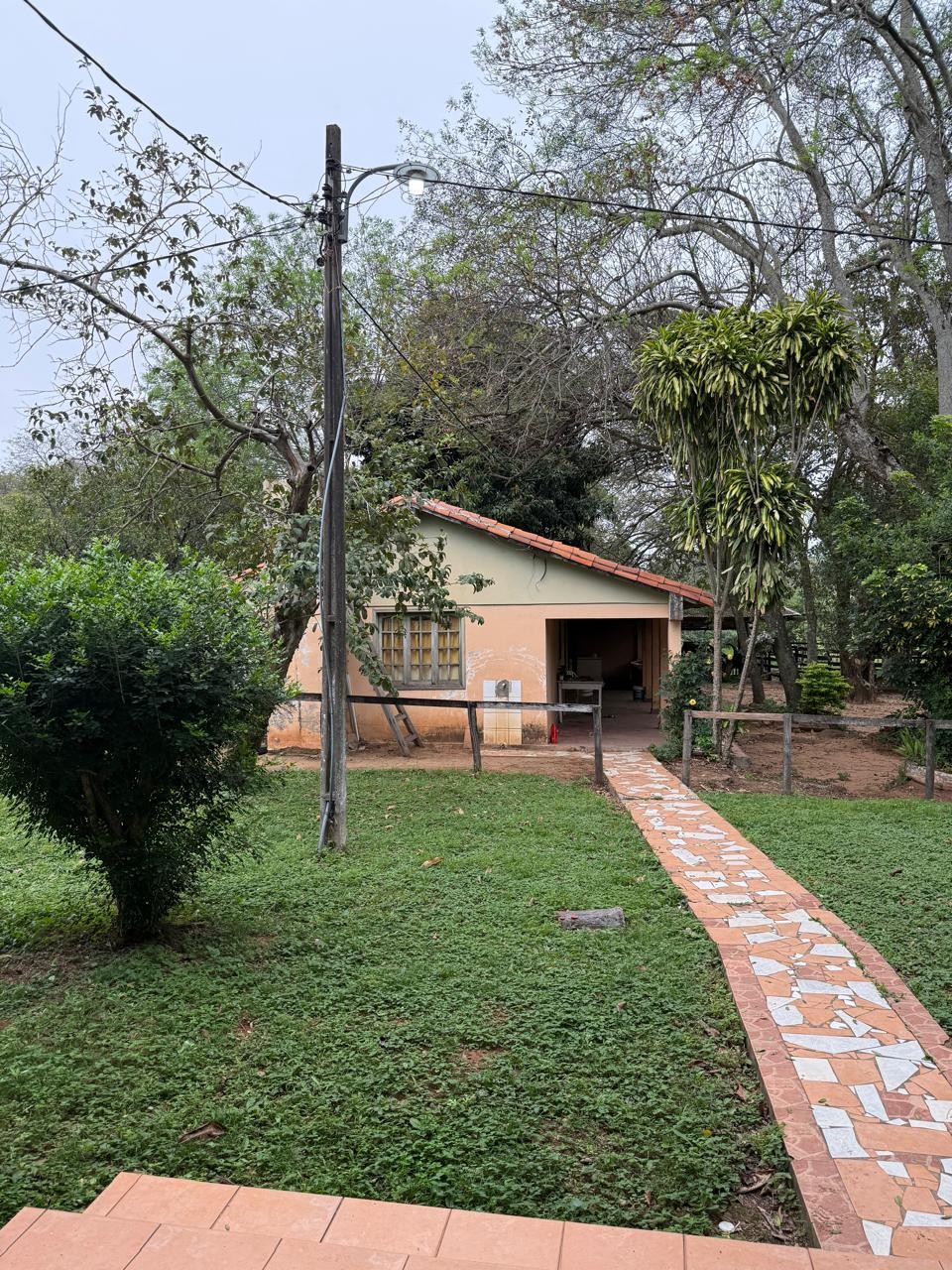 SE VENDE EN NUEVA ITALIA: EXCEPCIONAL GRANJA DE 10 HECTÁREAS, TOTALMENTE EQUIPADA Y CON UBICACIÓN PRIVILEGIADA. - foto 5