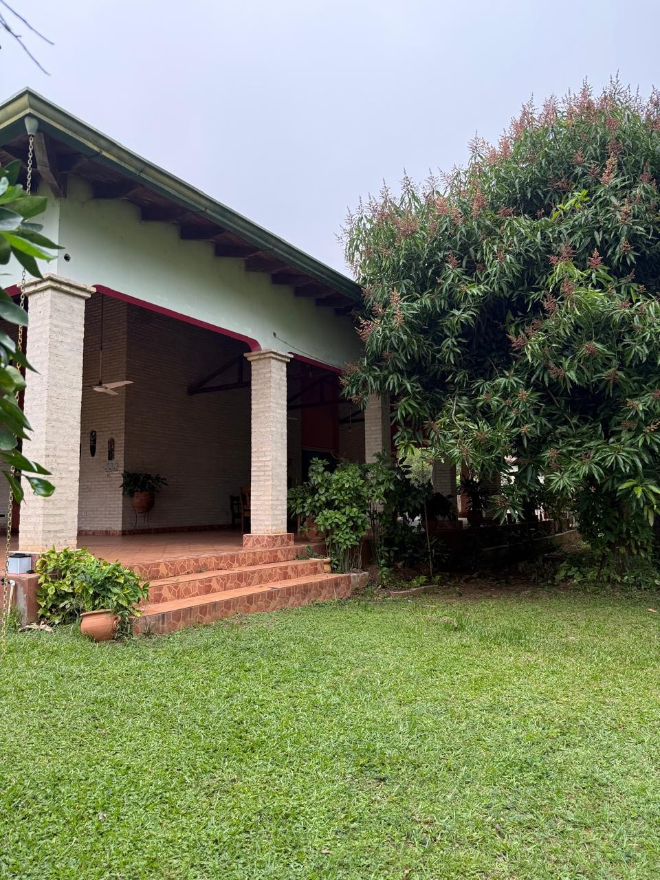 SE VENDE EN NUEVA ITALIA: EXCEPCIONAL GRANJA DE 10 HECTÁREAS, TOTALMENTE EQUIPADA Y CON UBICACIÓN PRIVILEGIADA. - foto 2