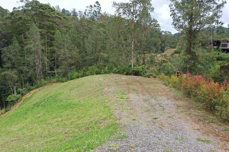 Lote en venta en Pantanillo, El Retiro, 2018 m² · foto 9 de 10
