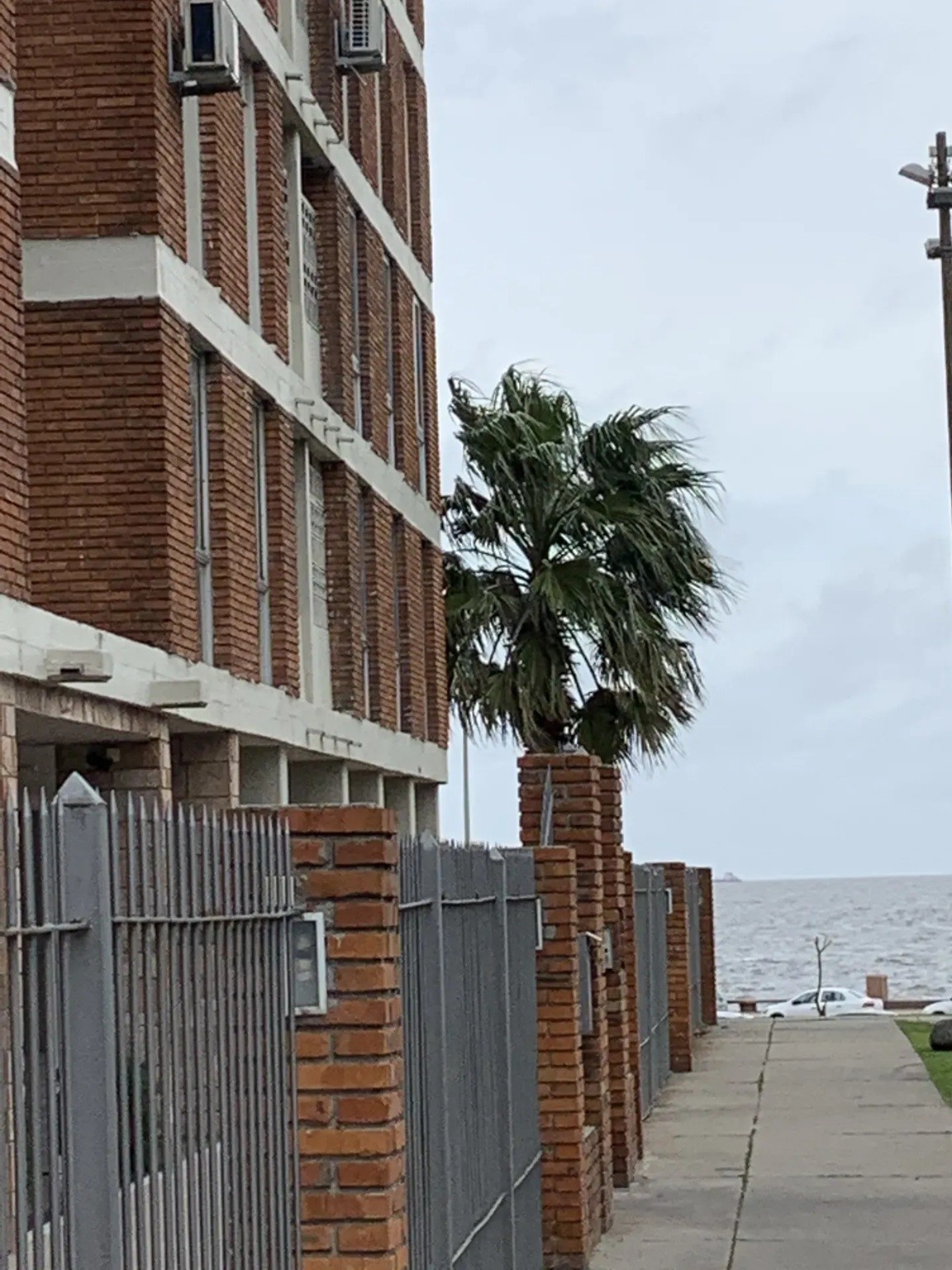 ALQUILER EN BARRIO SUR DE 3 DORMITORIOS, PISO 1 AL FRENTE, TERRAZAS, PORTERIA, PARRILLEROS, SUM · Foto 1