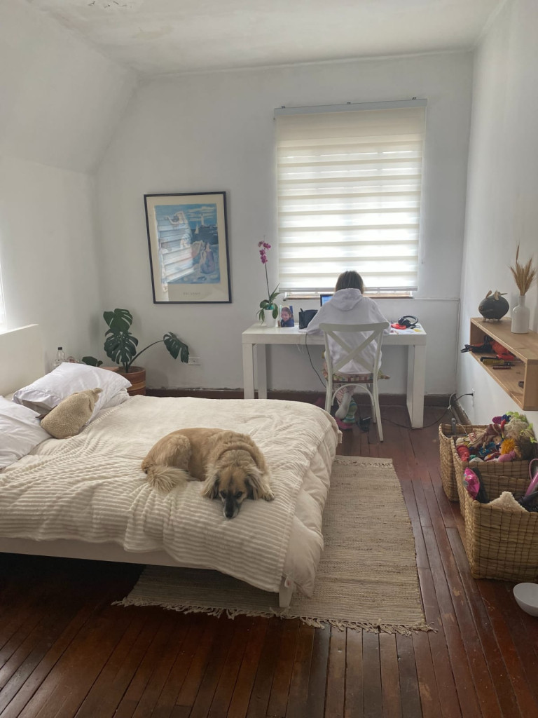 Casa en venta en Quinta Camacho, Bogotá · foto 6 de 24