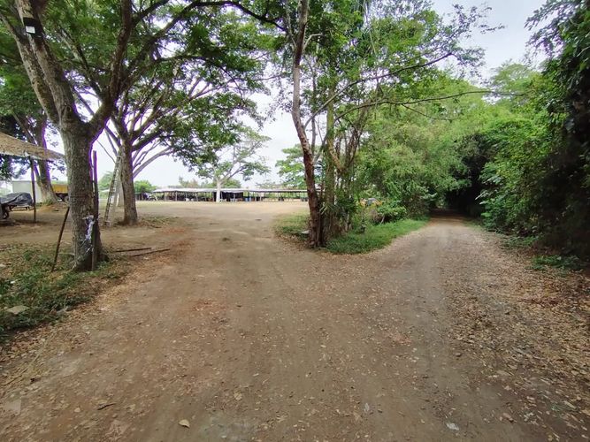 Lote en venta en Cachipay, Cali, 12 m² · foto 3 de 16
