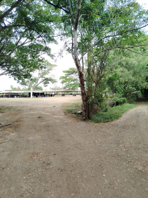 Lote en venta en Cachipay, Cali, 12 m² · foto 5 de 16