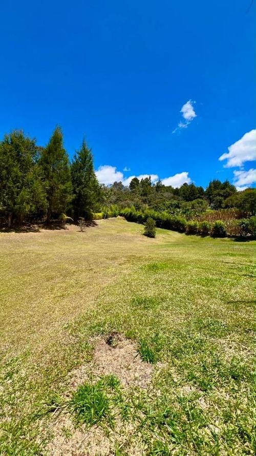 Casa de 5 alcobas en arriendo en La Mosquita, Guarne, 245 m² · foto 6 de 24