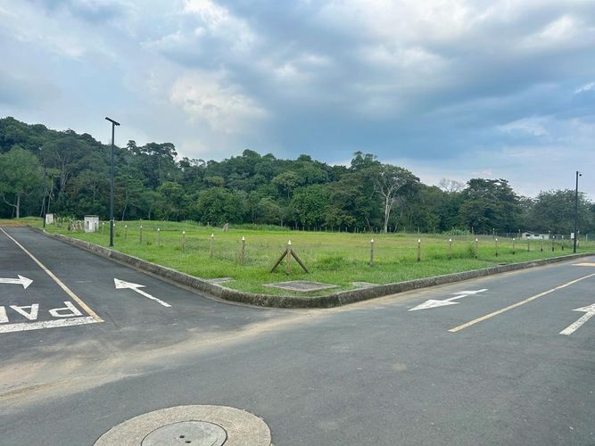Lote en venta en Pance, Cali, 5215 m² · foto 2 de 12