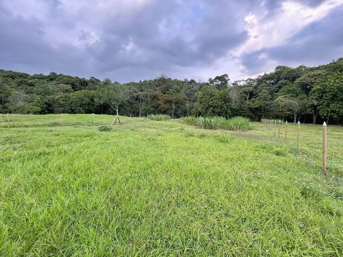 Lote en venta en Pance, Cali, 5215 m² · foto 6 de 12