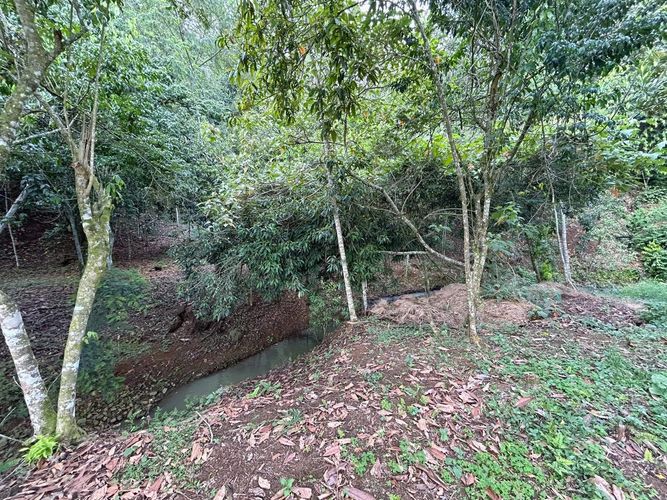Lote en venta en Pance, Cali, 5215 m² · foto 9 de 12