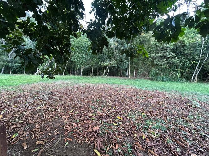 Lote en venta en Pance, Cali, 5215 m² · foto 10 de 12
