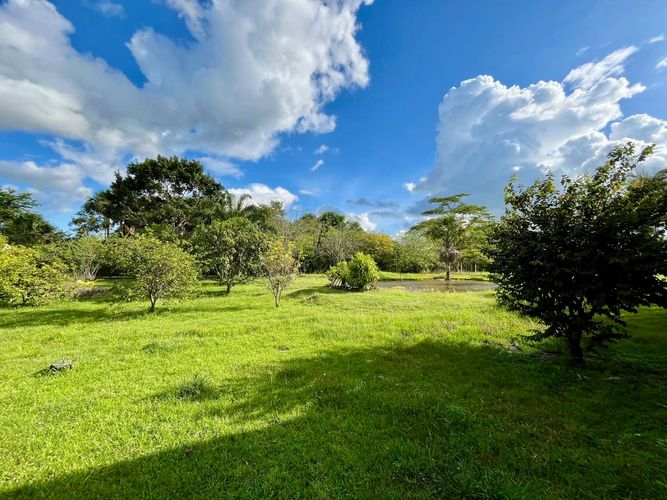Finca en venta en Apiay, Villavicencio, 5000 m² · foto 17 de 24