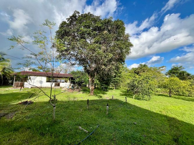 Finca en venta en Apiay, Villavicencio, 5000 m² · foto 20 de 24