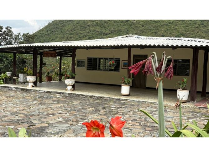 Finca en venta en Pedregal, Yumbo, 575 m² · foto 5 de 24