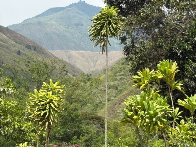 Finca en venta en Pedregal, Yumbo, 575 m² · foto 22 de 24