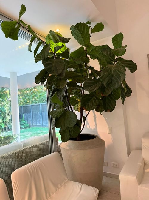 Casa de 3 alcobas en venta en Pance, Cali, 330 m² · foto 5 de 24
