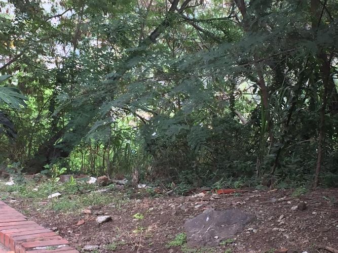 Lote en venta en Cristales, Cali, 1400 m² · foto 2 de 24