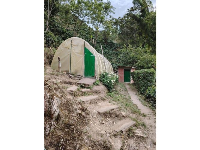 Finca en venta en Corinto, Manizales, 92800 m² · foto 11 de 17
