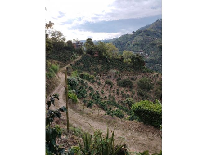 Finca en venta en Corinto, Manizales, 92800 m² · foto 12 de 17