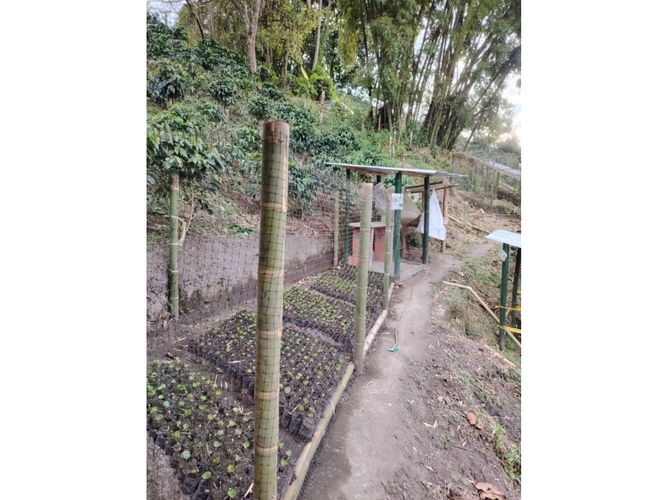 Finca en venta en Corinto, Manizales, 92800 m² · foto 13 de 17