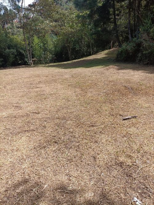 Lote en venta en Hojas Anchas, Guarne, 3545 m² · foto 4 de 15