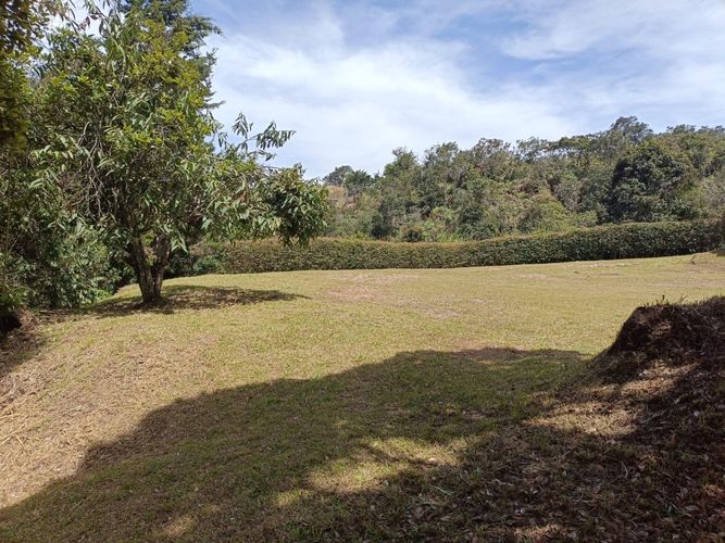 Lote en venta en Hojas Anchas, Guarne, 3545 m² · foto 5 de 15