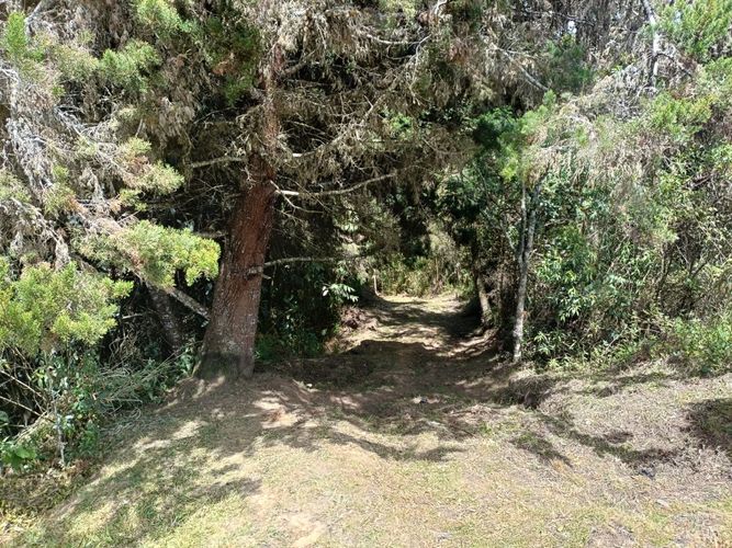 Lote en venta en Hojas Anchas, Guarne, 3545 m² · foto 6 de 15