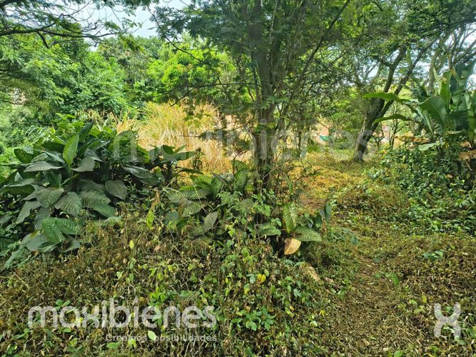 Lote en venta en Centro, Bello, 240 m² · foto 2 de 4