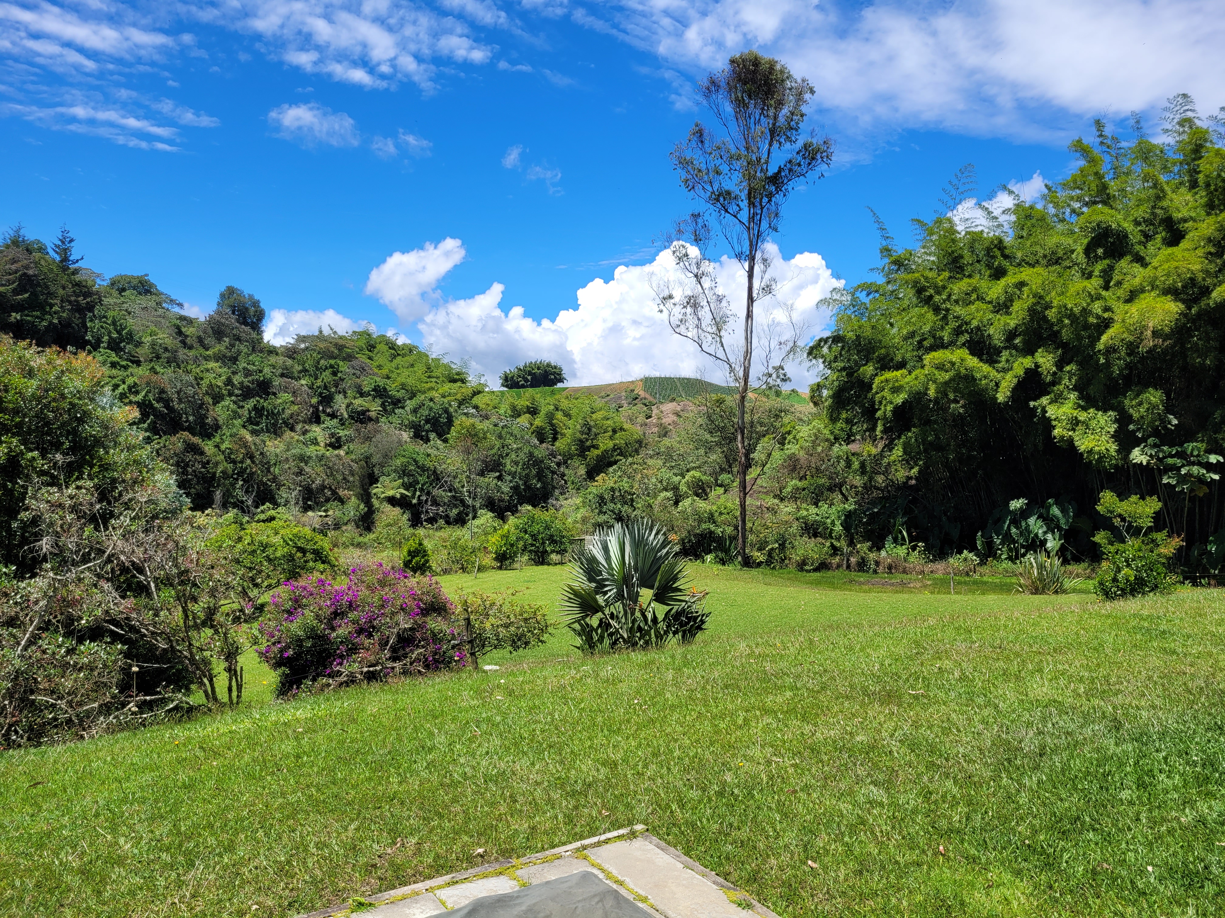 3BR Country House in El rosal (164 m²) for Sale - 4