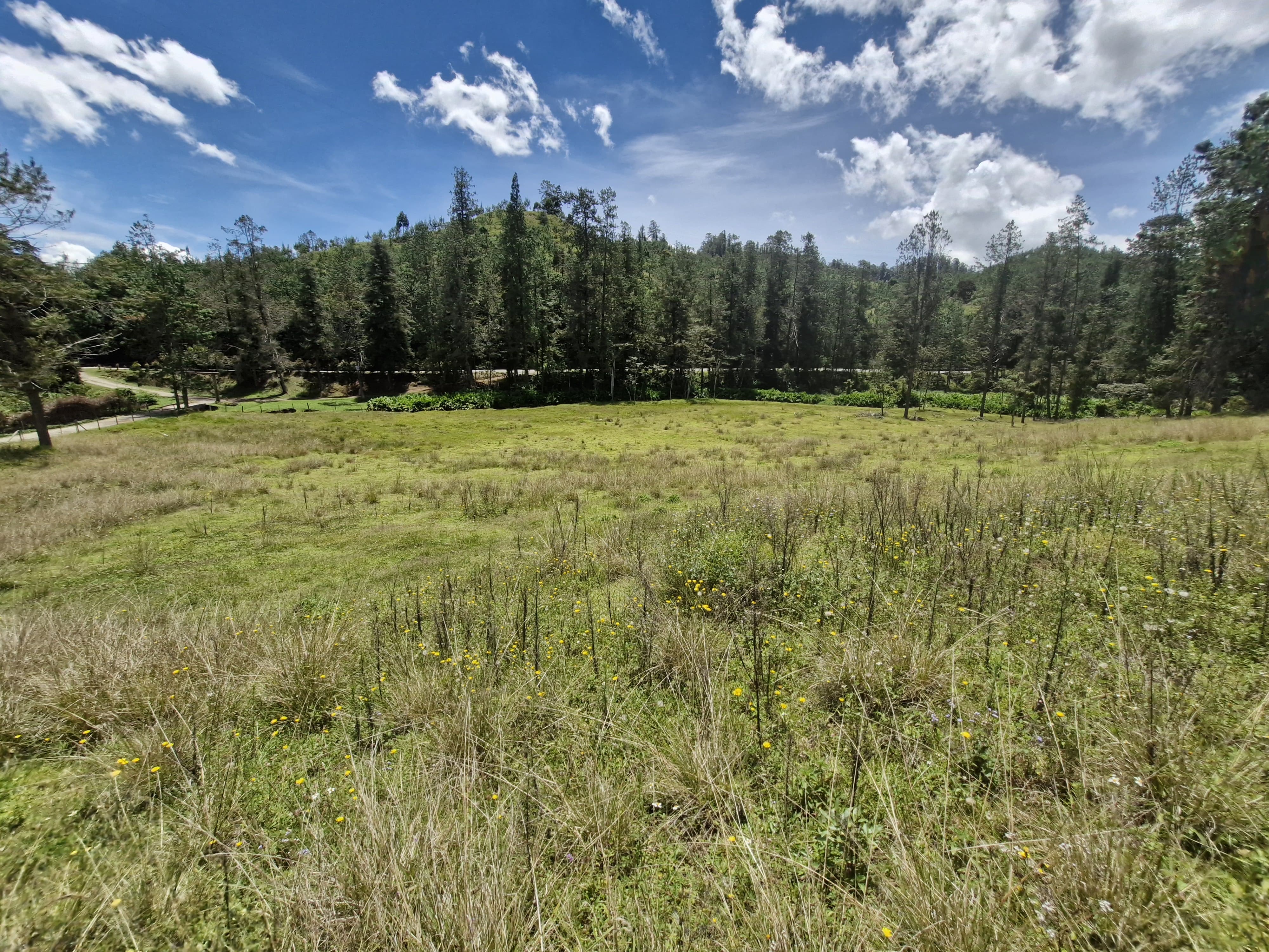 Land in Lejos del nido for Sale