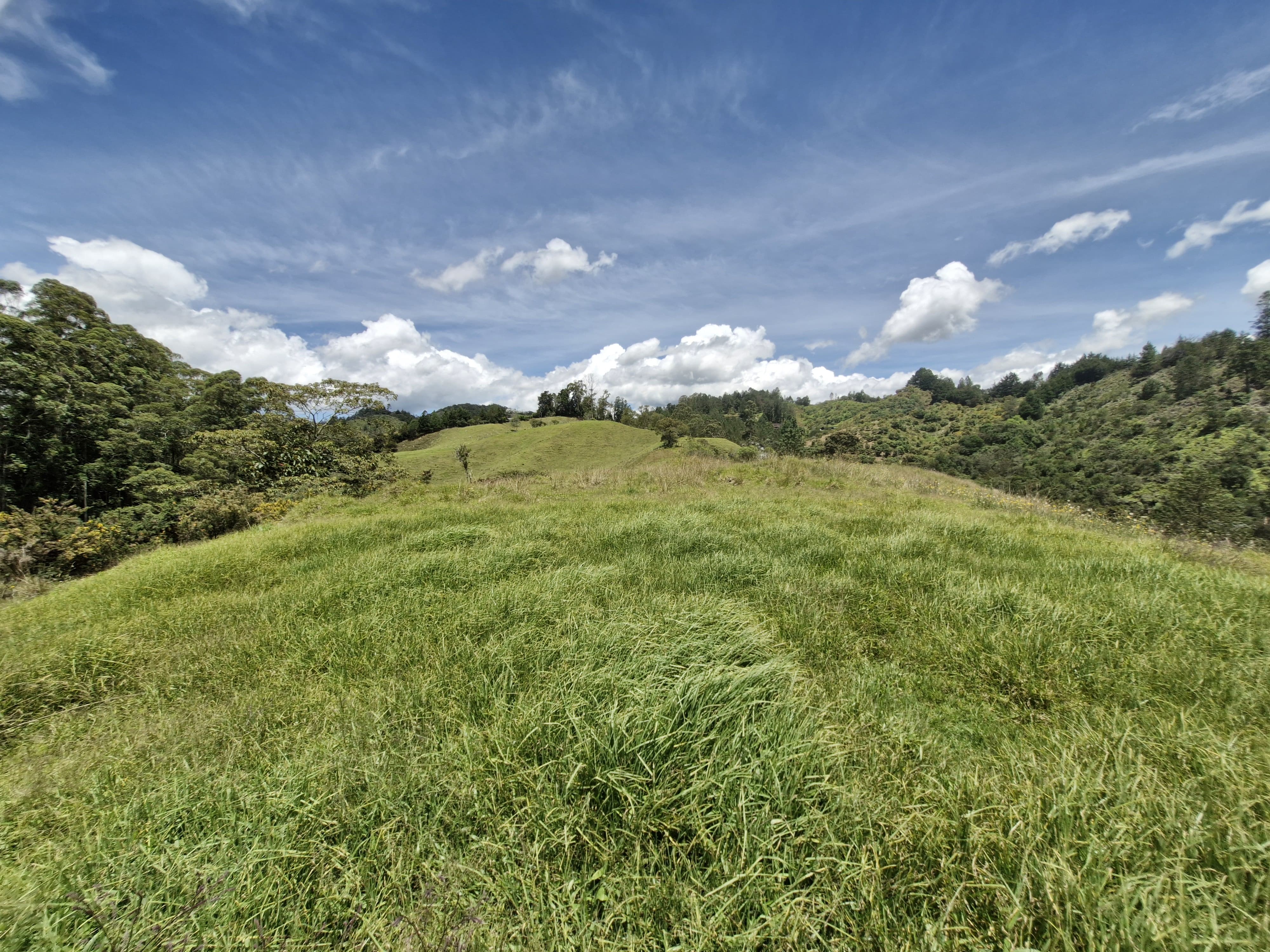Land in Lejos del nido for Sale - 2